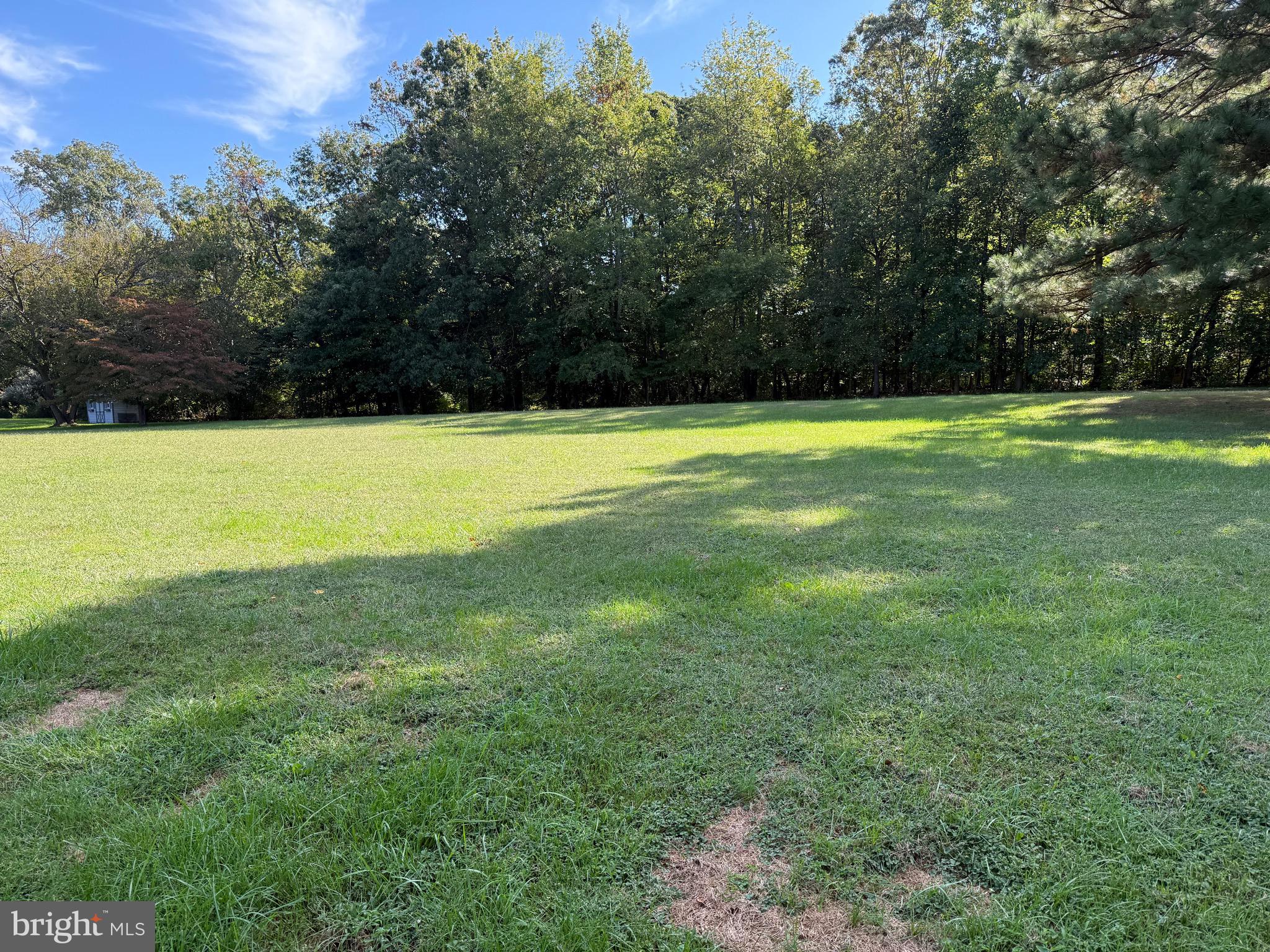 915 Sportsman Neck Road Queenstown, MD 21658 - Photo 23 of 33 a view of a yard with a trees
