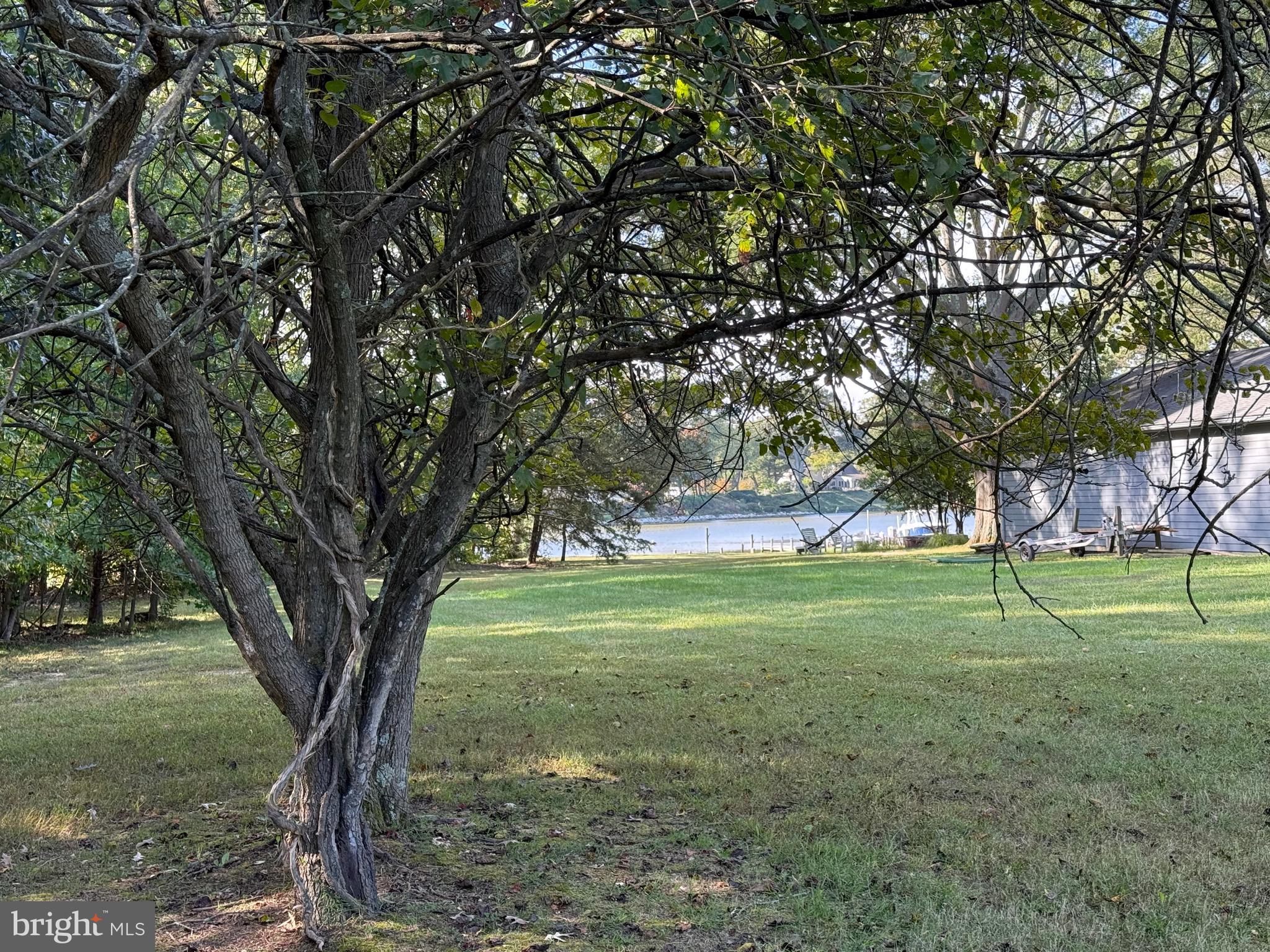 915 Sportsman Neck Road Queenstown, MD 21658 - Photo 24 of 33 a view of a trees in a yard