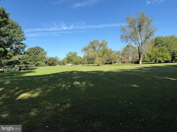 a view of outdoor space with deck and trees