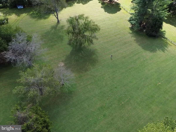 a view of a swimming pool with trees