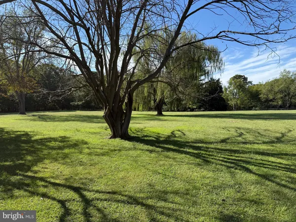 a view of a park and trees