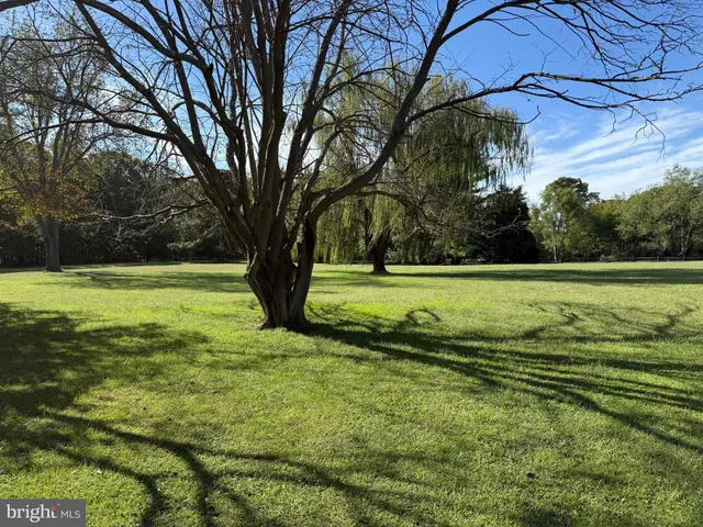 a view of a park and trees