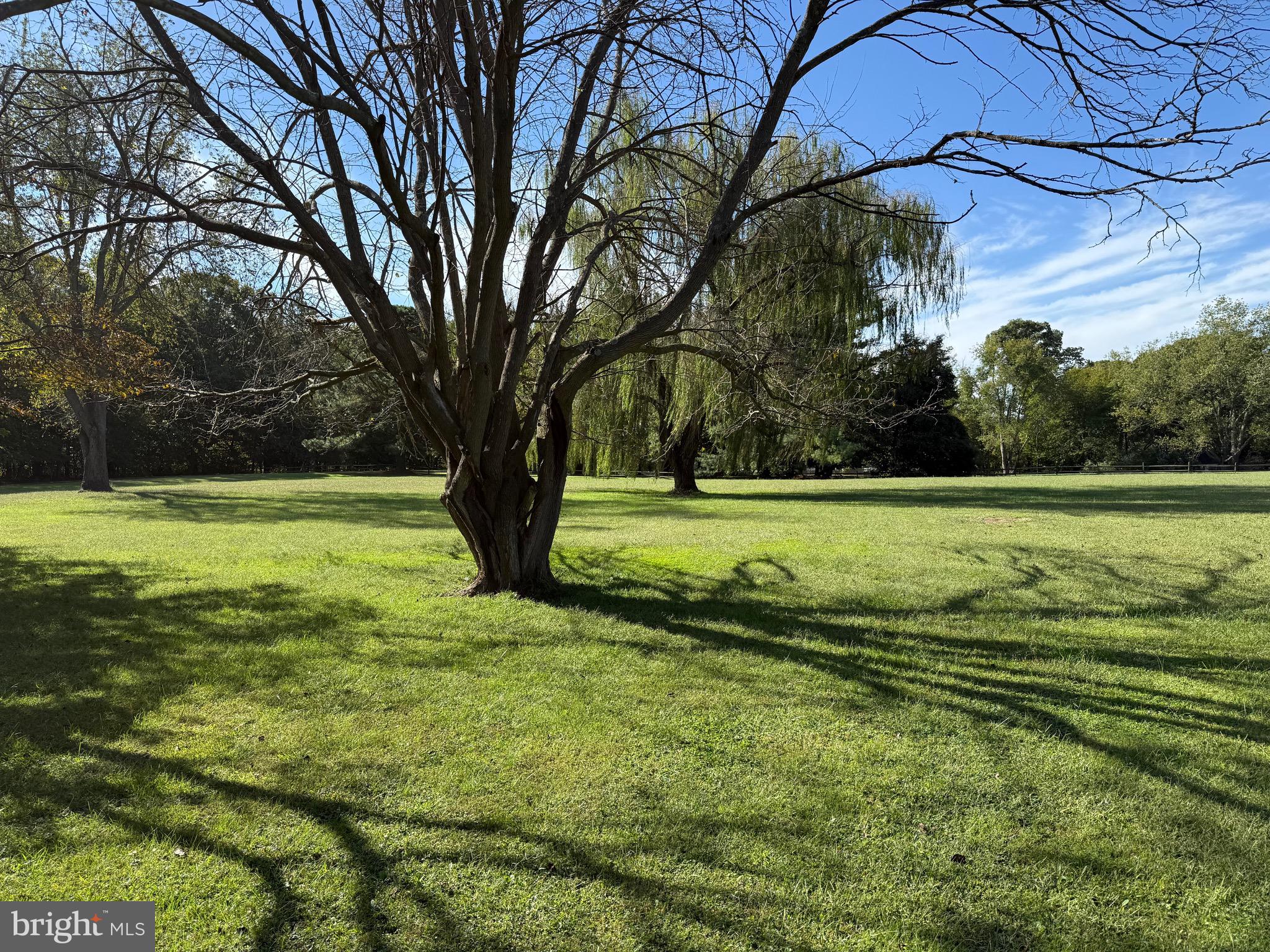 915 Sportsman Neck Road Queenstown, MD 21658 - Photo 4 of 33 a view of a field with an trees