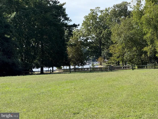 a view of a grassy field with trees
