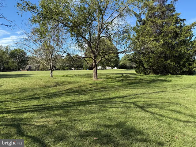 a view of a grassy field with trees in the background