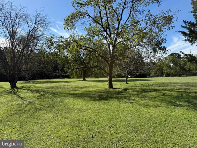 a view of field with trees in the background