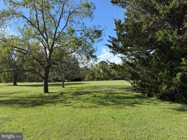 a view of an outdoor space and a yard