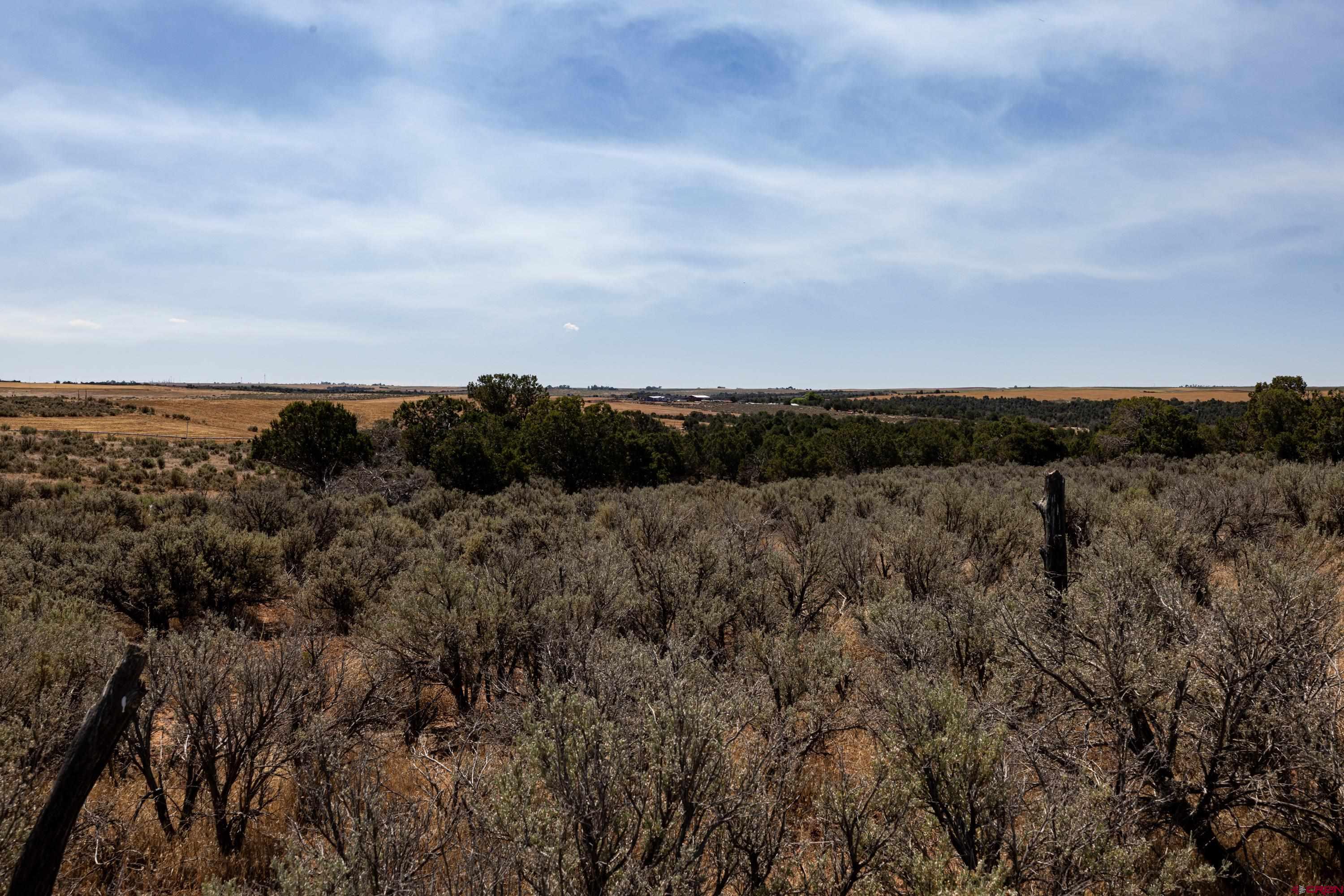 Tbd Tbd Road Pleasant View, CO 81331 - Photo 15 of 17