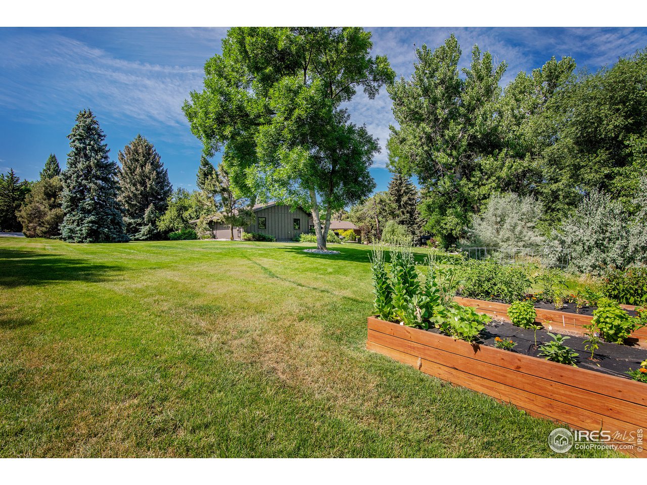 8835 Pine Cone Lane Niwot, CO 80503 - Photo 32 of 32 huge lot