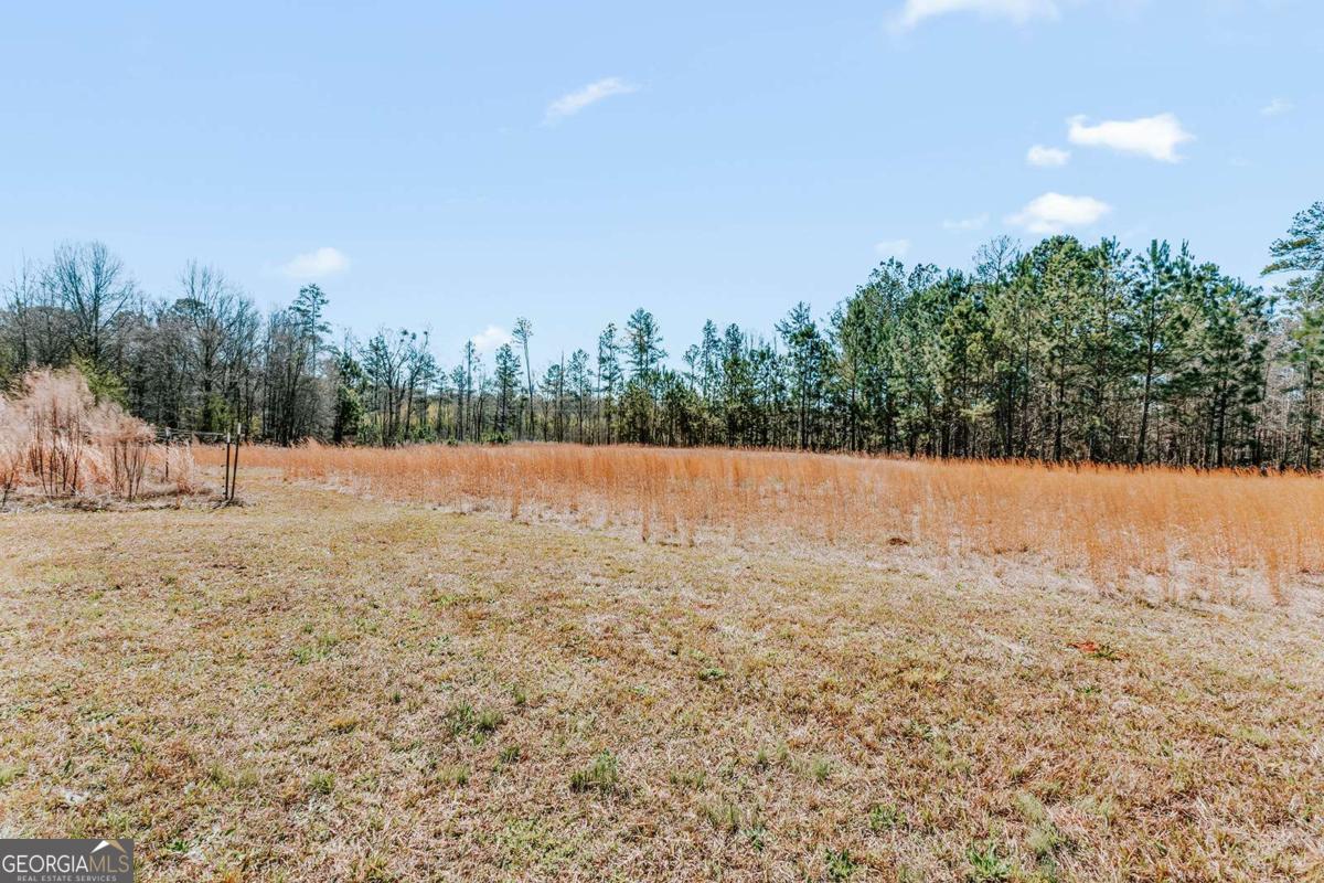 2242 Crawfordville Road Rayle, GA 30660 - Photo 34 of 64