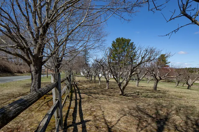 a view of a yard with wooden fence