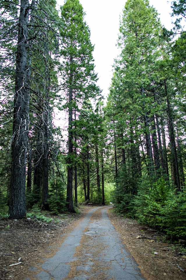 1012 Davis Place Road Mount Shasta, CA 96067 - Photo 25 of 26 Gallery Image 25