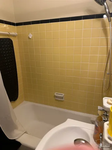 a bathroom with a bathtub and a toilet