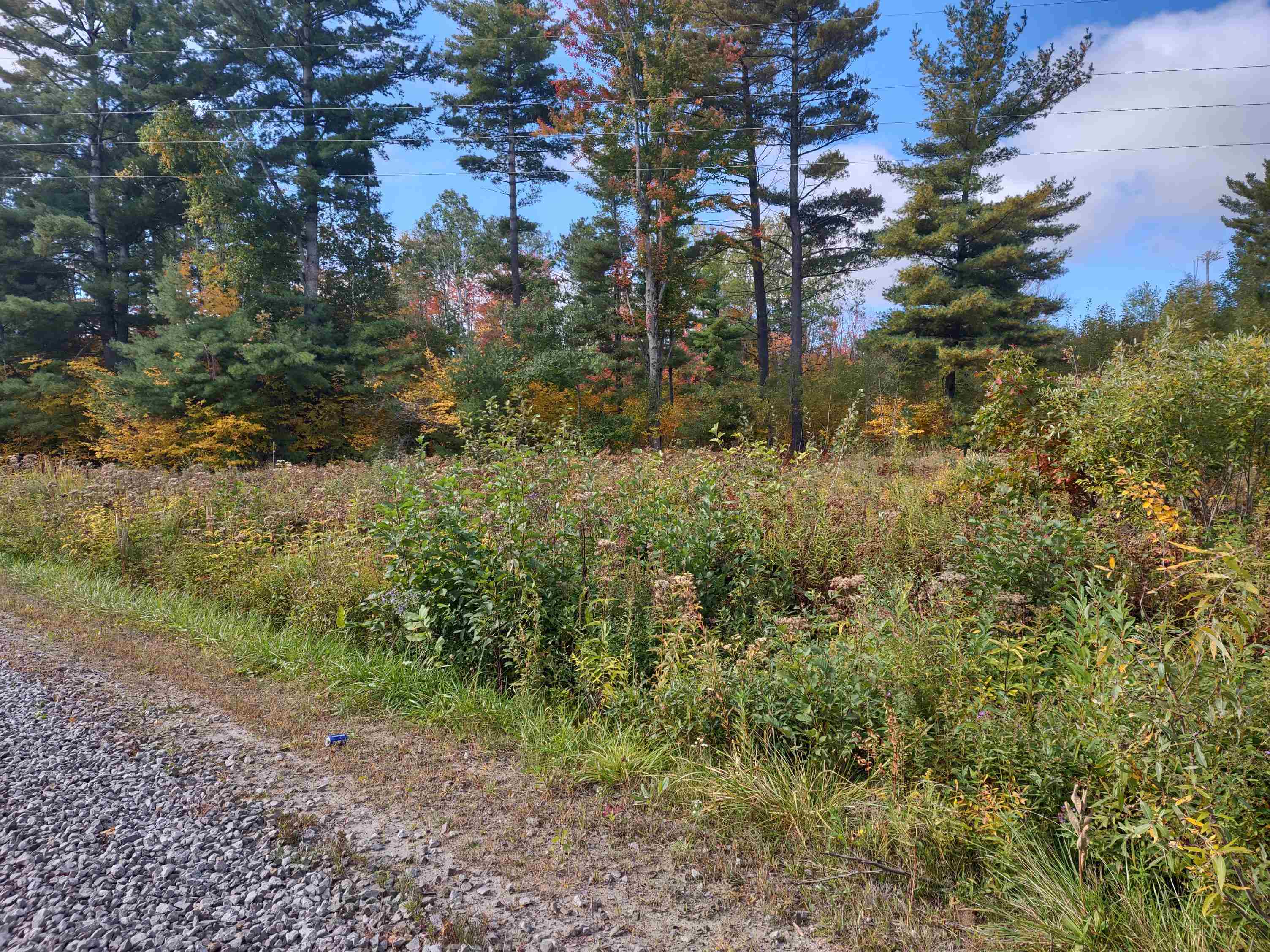 N/a North Fire Road Twining, MI 48766 - Photo 6 of 7