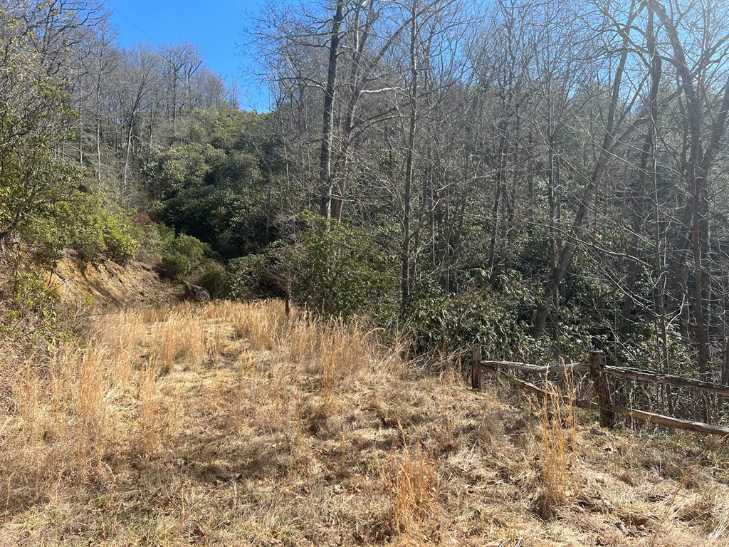 Lot 19 Preserve Valley Road Topton, NC 28781 - Photo 5 of 5