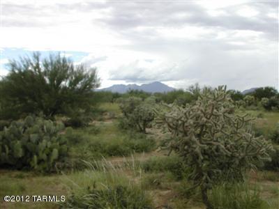 11801 South Wells Fargo Road, Unit 1 Tucson, AZ 85736 - Photo 4 of 5