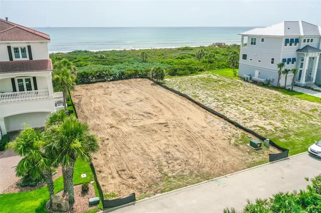 a view of a backyard with potted plants