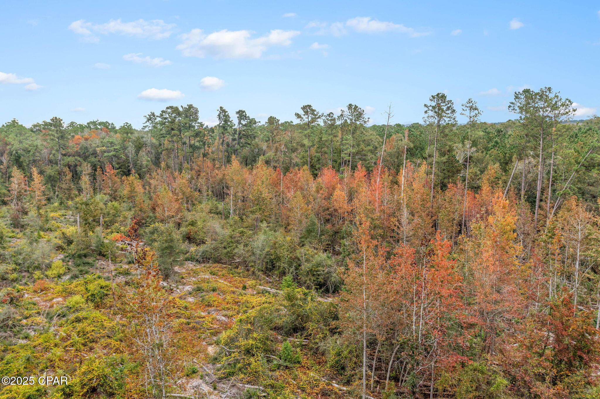 0 Mud Hill Road Chipley, FL 32428 - Photo 11 of 15
