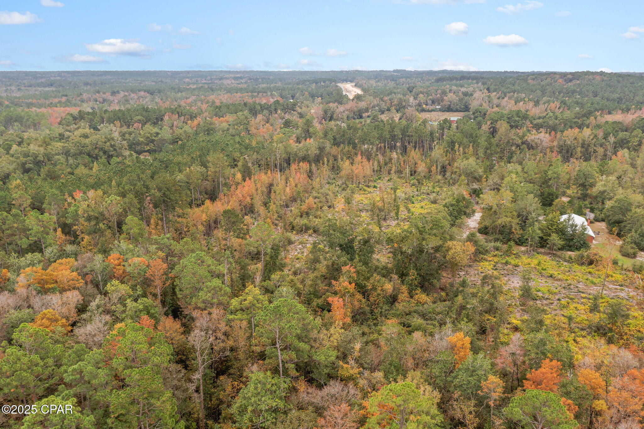 0 Mud Hill Road Chipley, FL 32428 - Photo 12 of 15