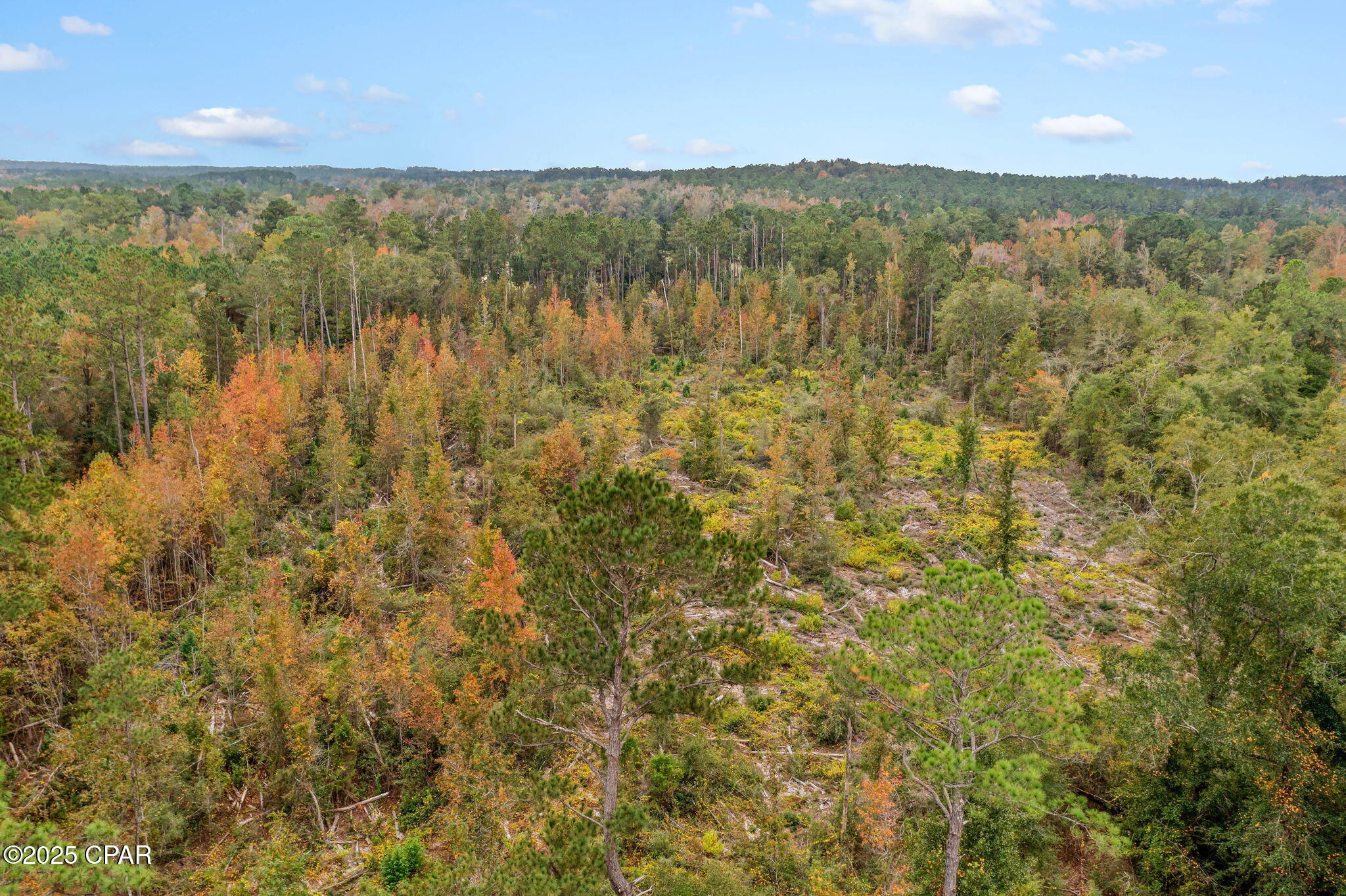 0 Mud Hill Road Chipley, FL 32428 - Photo 13 of 15
