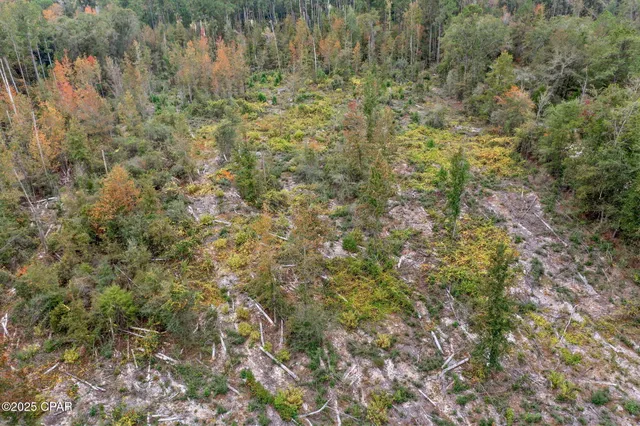 $100,000 | 0 Mud Hill Road, Chipley, FL 32428