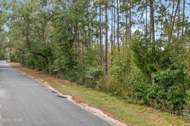 $100,000 | 0 Mud Hill Road, Chipley, FL 32428