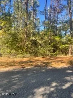 $100,000 | 0 Mud Hill Road, Chipley, FL 32428