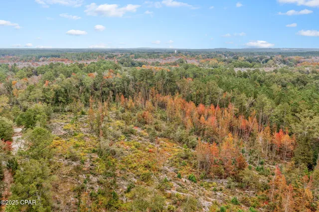 $100,000 | 0 Mud Hill Road, Chipley, FL 32428