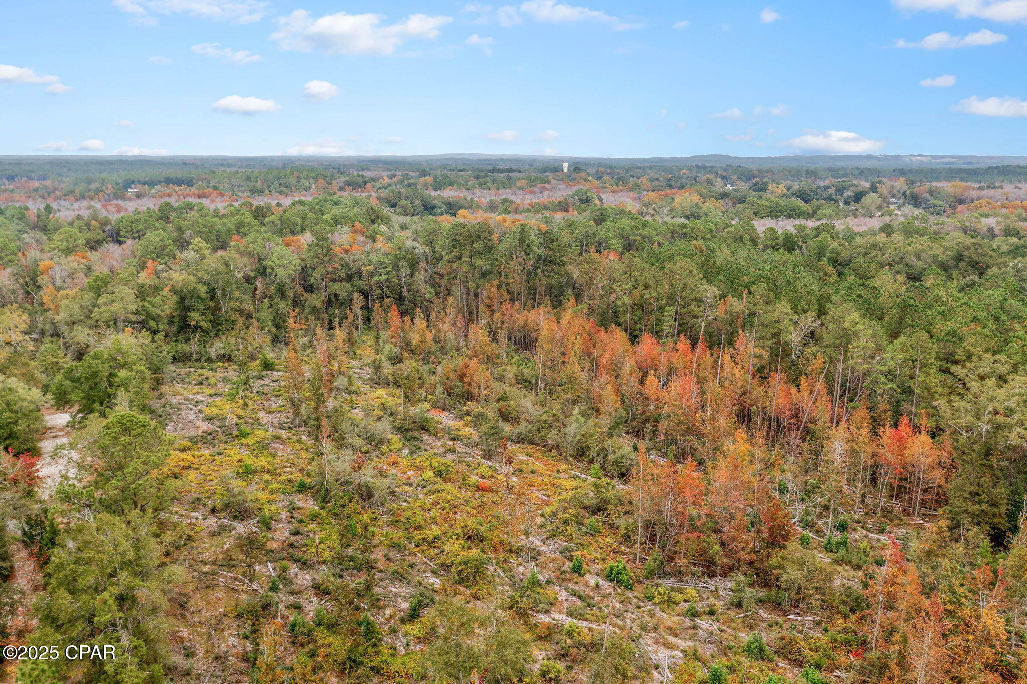 0 Mud Hill Road Chipley, FL 32428 - Photo 10 of 15