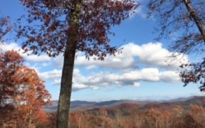 366 Blue Sky Drive Blue Ridge, GA 30513 - Photo 2 of 4 Additional View