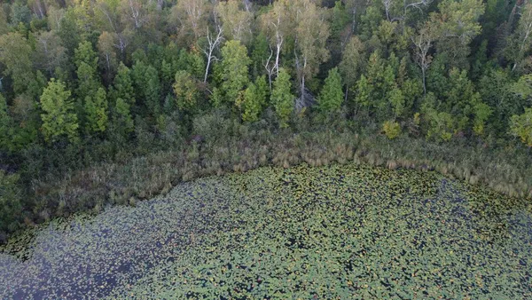 $210,000 | Parcel B East Gunn Lake Trail, Marcell, MN 56657