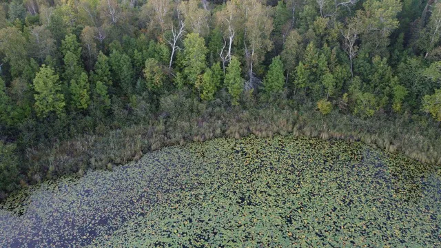 $210,000 | Parcel B East Gunn Lake Trail, Marcell, MN 56657