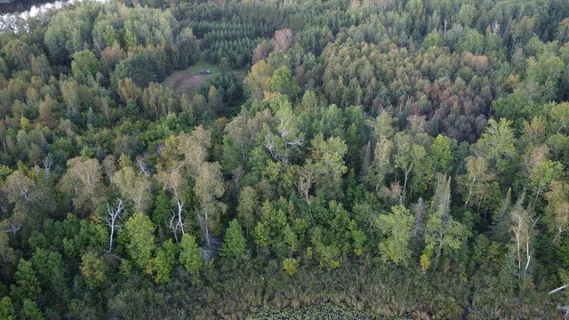 $210,000 | Parcel B East Gunn Lake Trail, Marcell, MN 56657