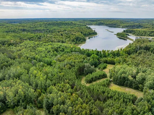 $210,000 | Parcel B East Gunn Lake Trail, Marcell, MN 56657