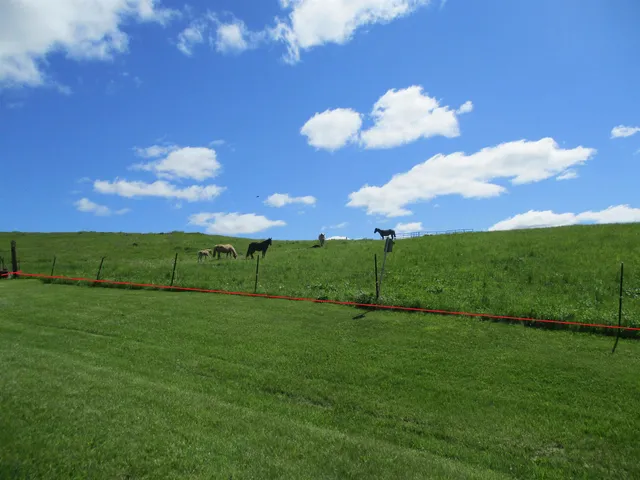 $599,000 | 30694 County Road West, Elroy, WI 53929