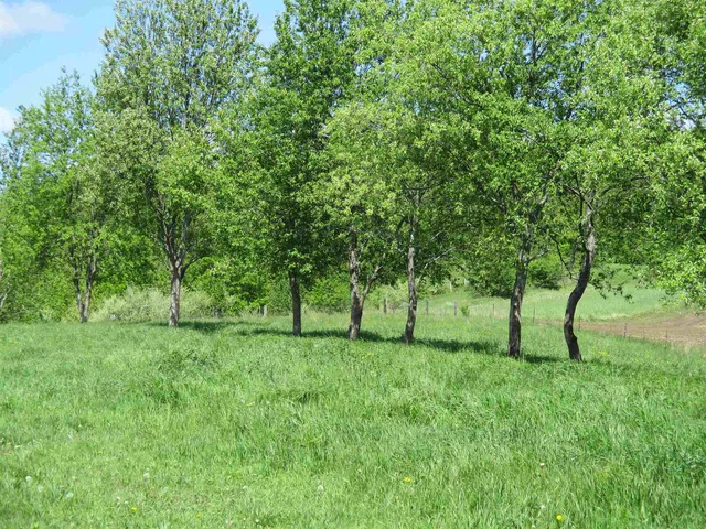 $599,000 | 30694 County Road West, Elroy, WI 53929