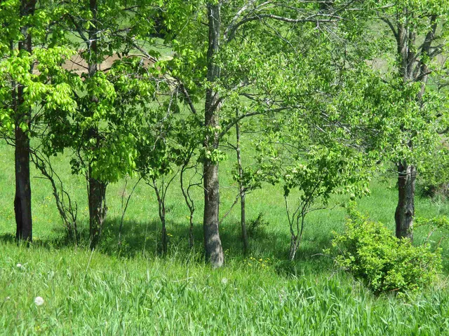 $599,000 | 30694 County Road West, Elroy, WI 53929