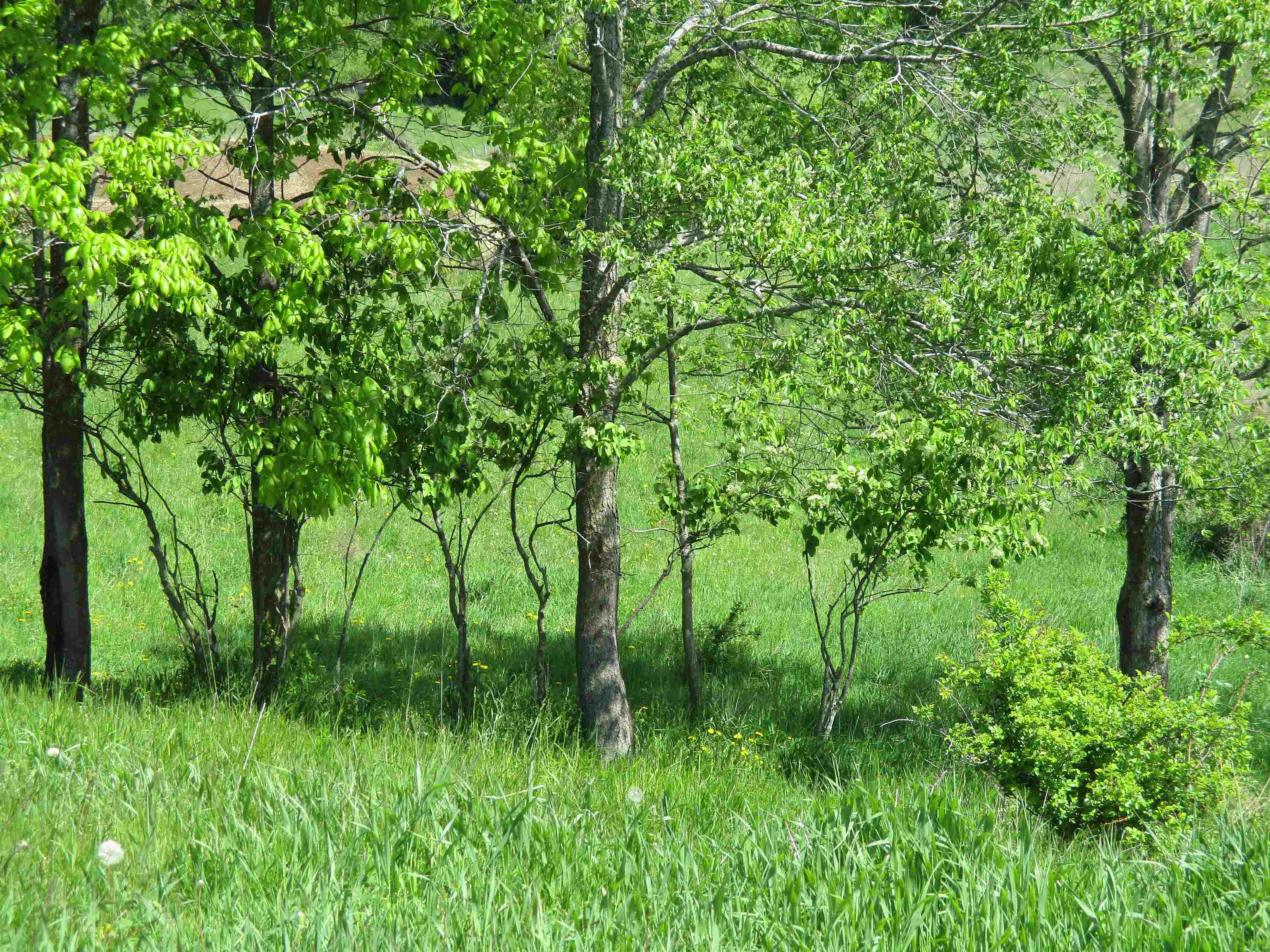 30694 County Road West Elroy, WI 53929 - Photo 75 of 84