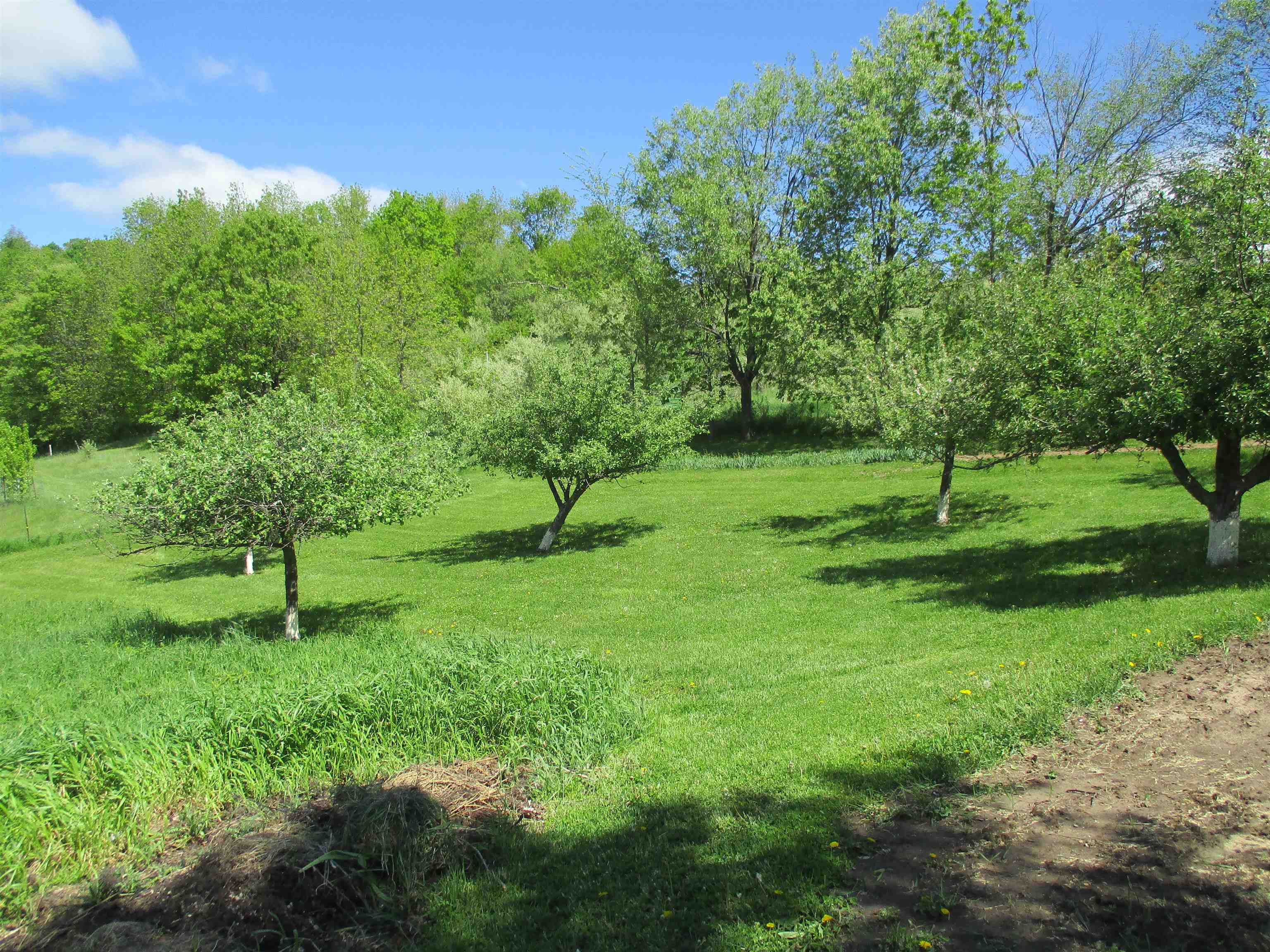 30694 County Road West Elroy, WI 53929 - Photo 78 of 84
