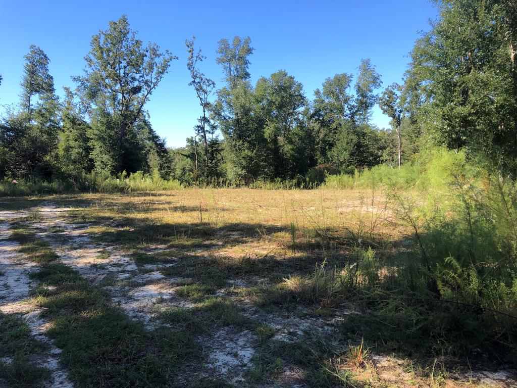 Undisclosed Address Samson, AL 36477 - Photo 37 of 39