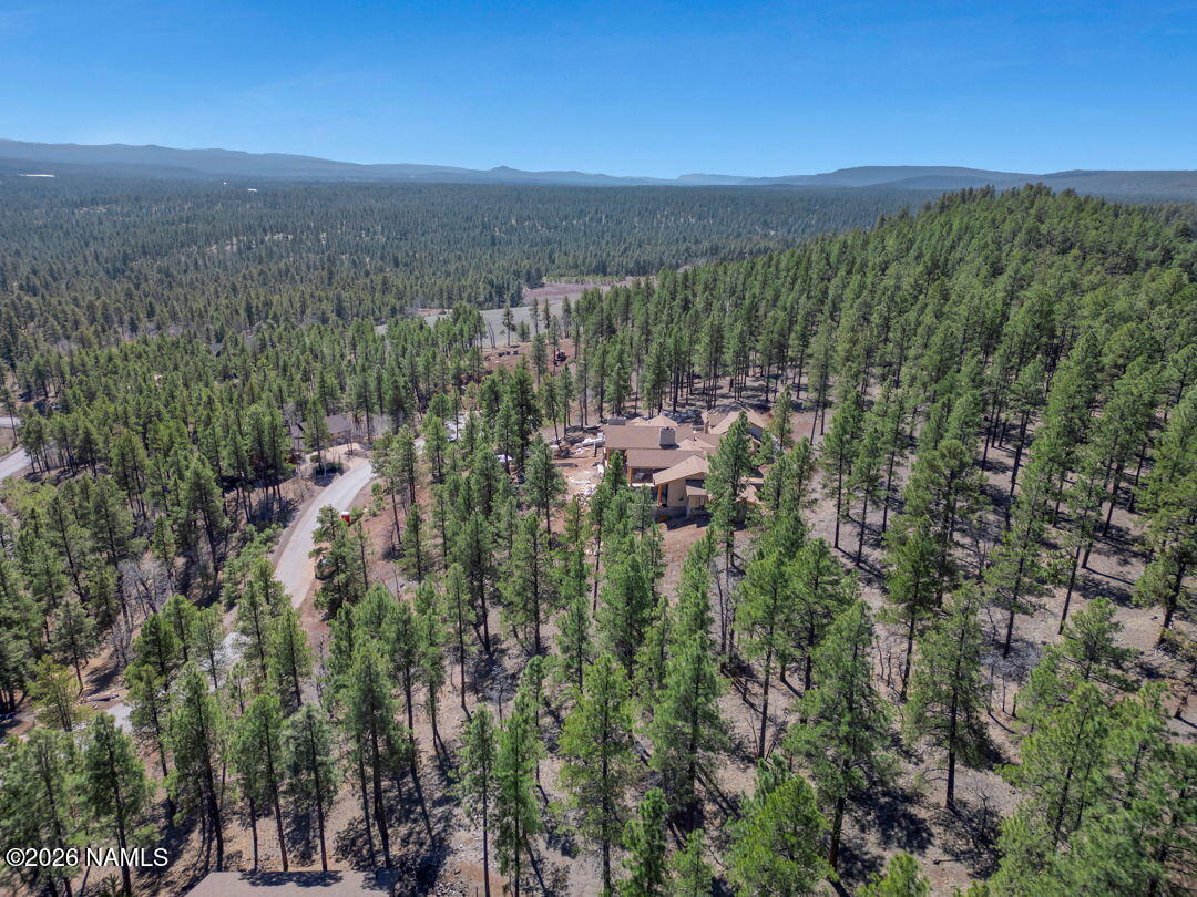 4655 Snaffle Bit Flagstaff, AZ 86005 - Photo 11 of 26 a view of a city with lush green forest