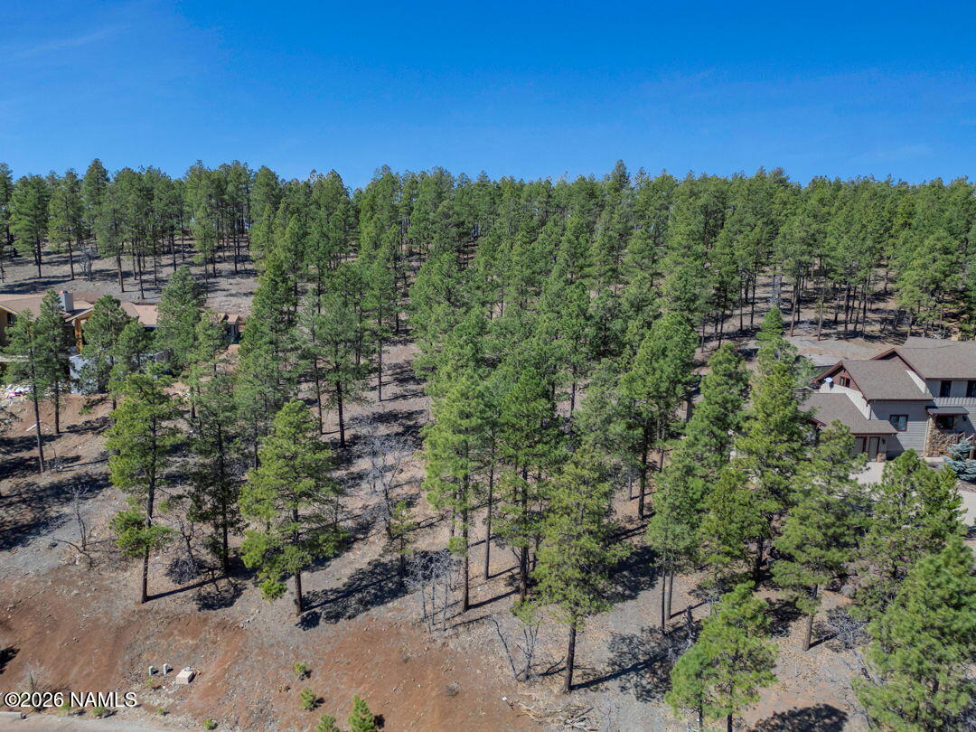 4655 Snaffle Bit Flagstaff, AZ 86005 - Photo 12 of 26