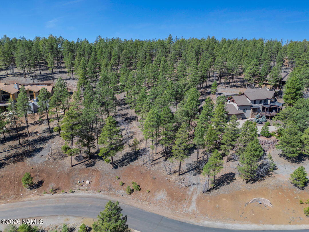 4655 Snaffle Bit Flagstaff, AZ 86005 - Photo 13 of 26 a view of a forest with a sink
