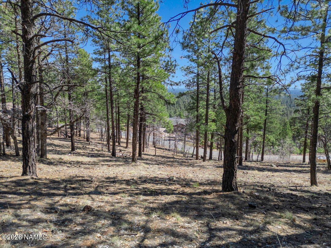 4655 Snaffle Bit Flagstaff, AZ 86005 - Photo 16 of 26 a view of a yard with trees