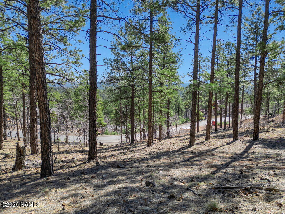 4655 Snaffle Bit Flagstaff, AZ 86005 - Photo 17 of 26 a view of a forest with trees in the background