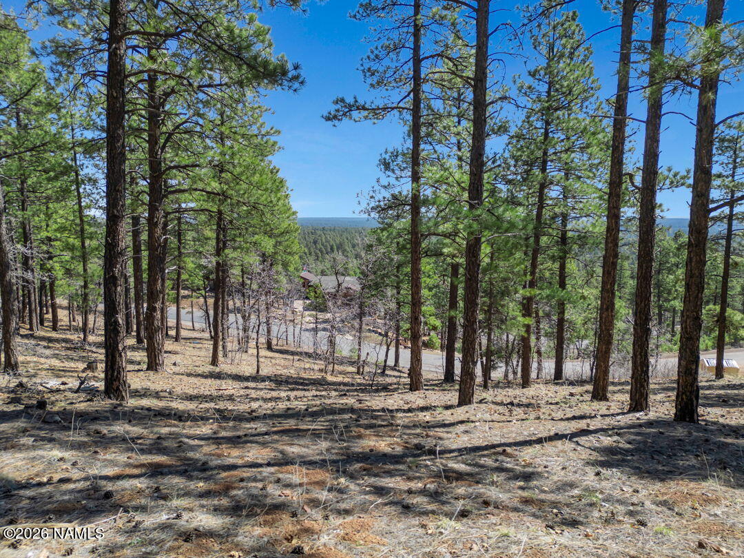 4655 Snaffle Bit Flagstaff, AZ 86005 - Photo 18 of 26 a view of road with trees