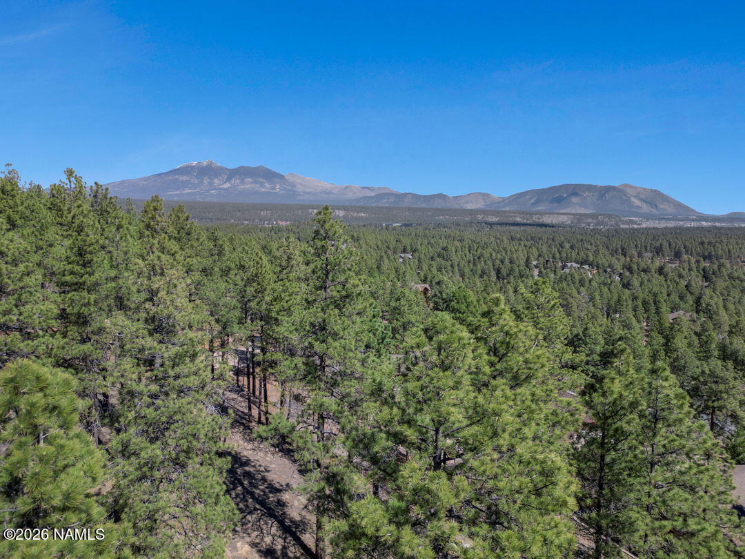 4655 Snaffle Bit Flagstaff, AZ 86005 - Photo 7 of 26 a view of a city with lush green forest