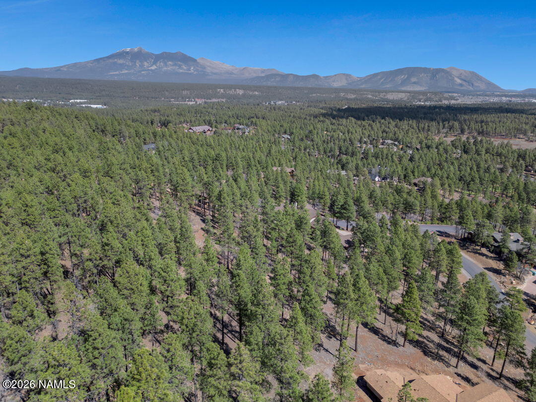 4655 Snaffle Bit Flagstaff, AZ 86005 - Photo 8 of 26 a view of a lush green hillside and a houses