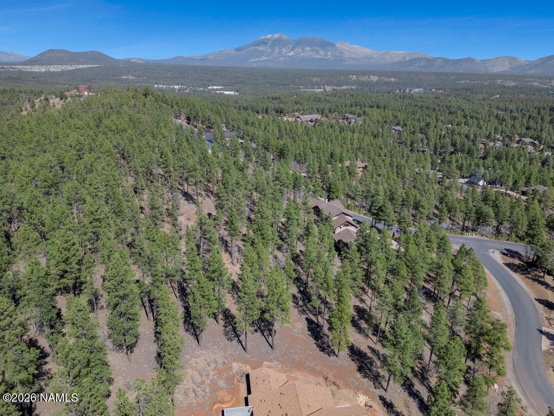 4655 Snaffle Bit Flagstaff, AZ 86005 - Photo 9 of 26 a view of a forest with a street