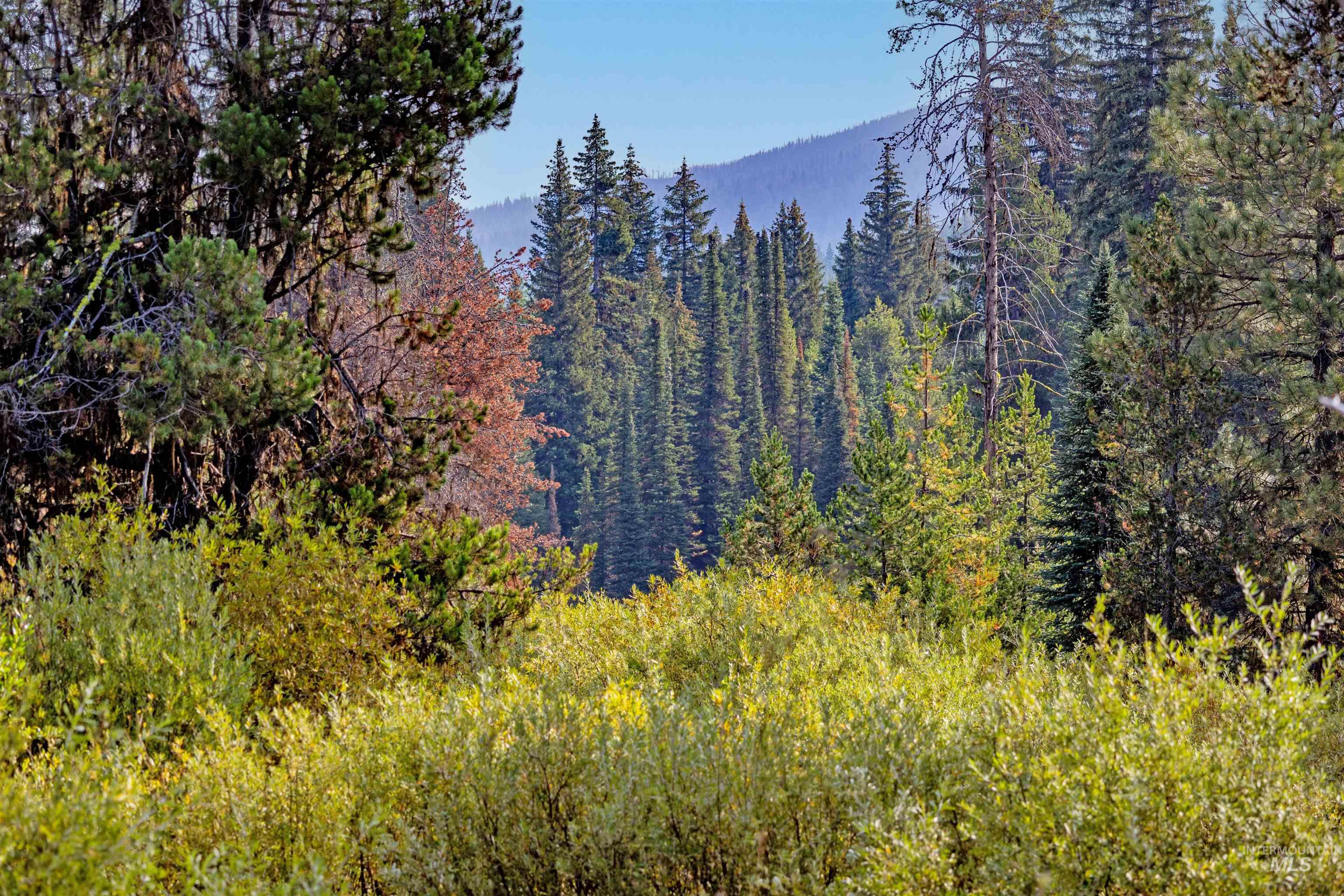 1 Warm Lake Road Cascade, ID 83611 - Photo 15 of 33